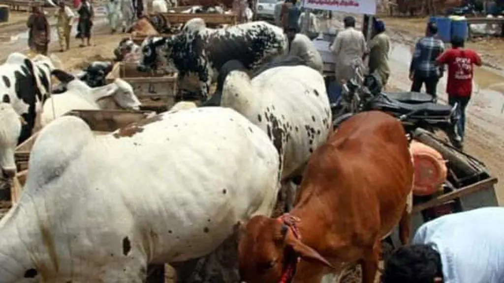 Eid-el-kabir high cost of livestock