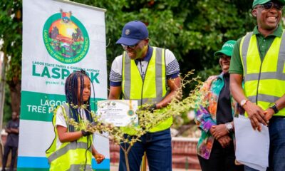 Lagos to plant 20,000 trees