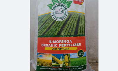 E-Moringa fertiliser