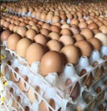 Crate of eggs
