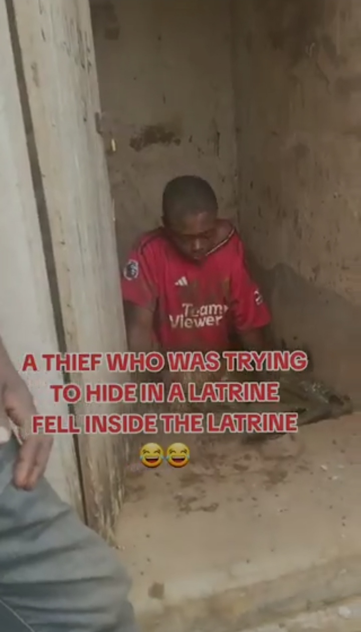 Thief falls into pit