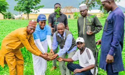 FirstBank tree planting