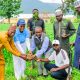 FirstBank tree planting