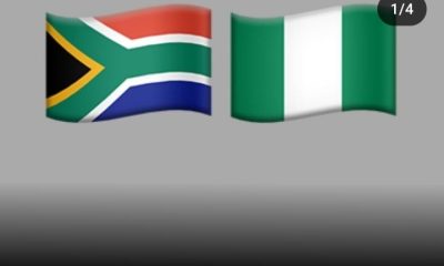 Nigeria and South Africa Flag