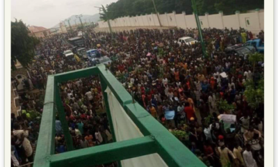 Gombe protesters