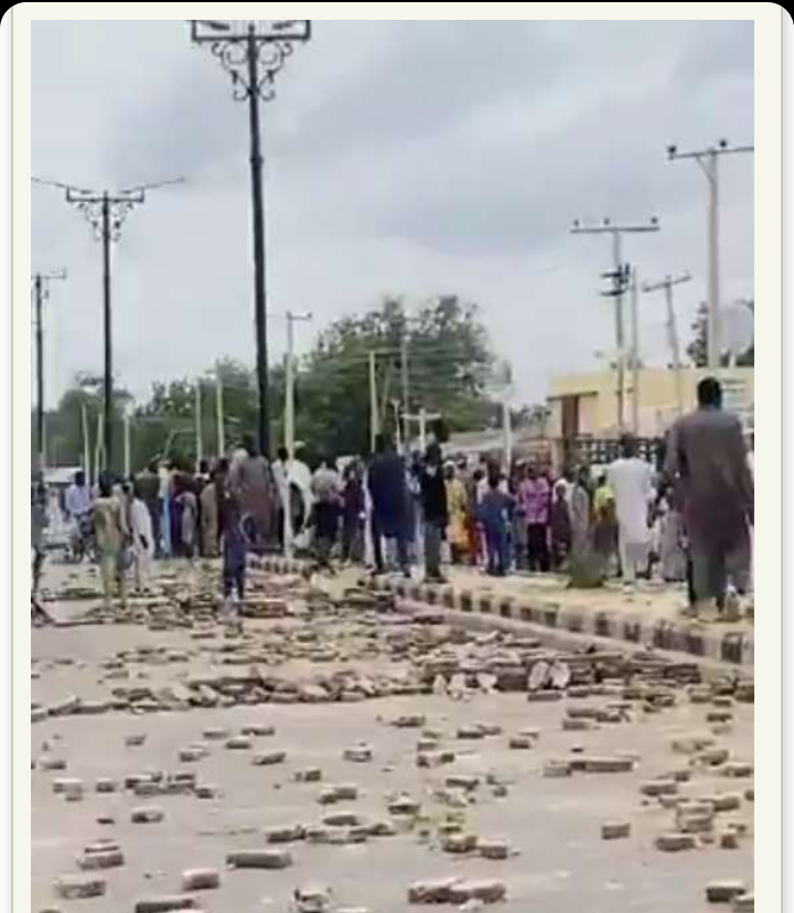 Borno Protesters