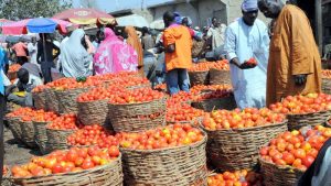 tomato and pepper prices fall protests