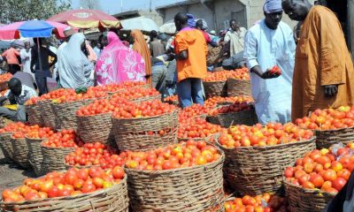 tomato and pepper prices fall protests