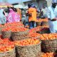 tomato and pepper prices fall protests