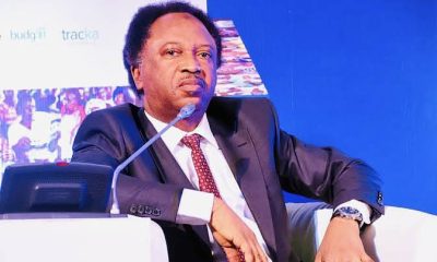 Shehu Sani Goodluck Jonathan electoral reforms