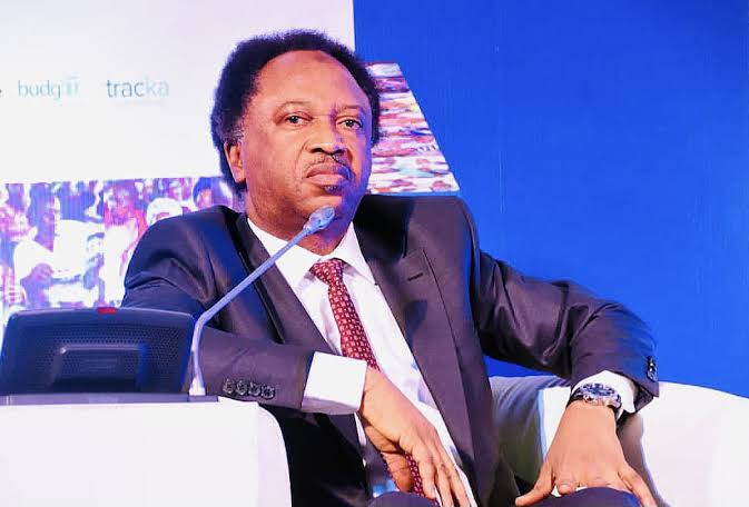 Shehu Sani Goodluck Jonathan electoral reforms