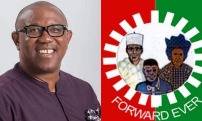 Automatic Ticket Peter Obi Labour Party