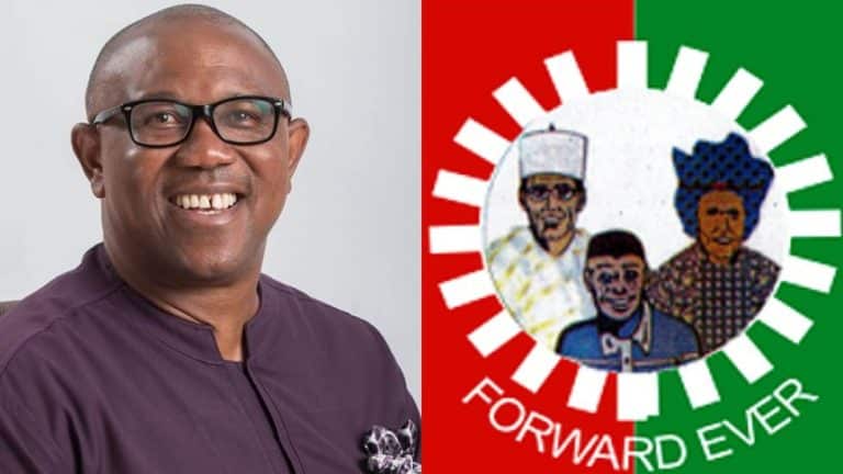 Automatic Ticket Peter Obi Labour Party