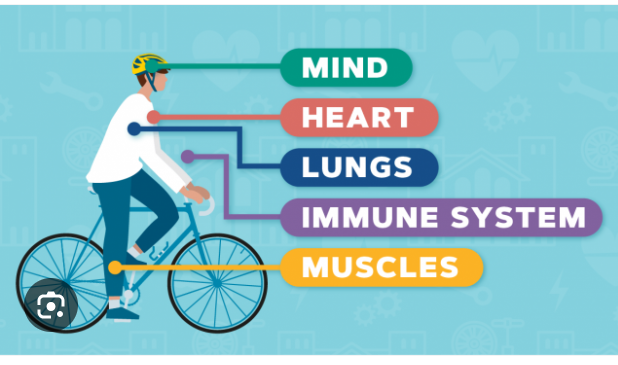 benefits of cycling