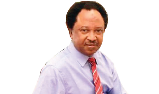 Shehu Sani Minimum Wage Law