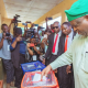 Plateau local government election