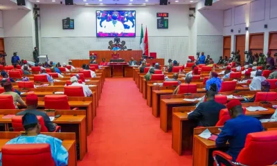 Senate Libya Super Eagles