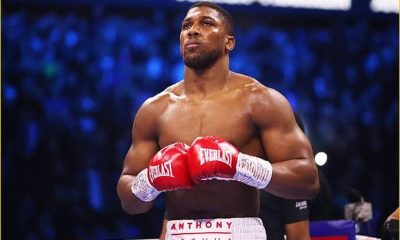 Anthony Joshua Dubois Rematch