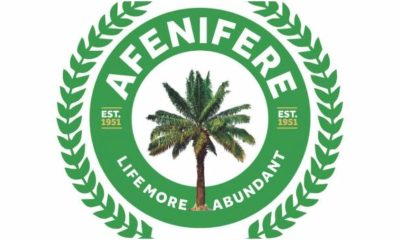 Afenifere Tax Reform Bills