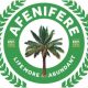 Afenifere Tax Reform Bills