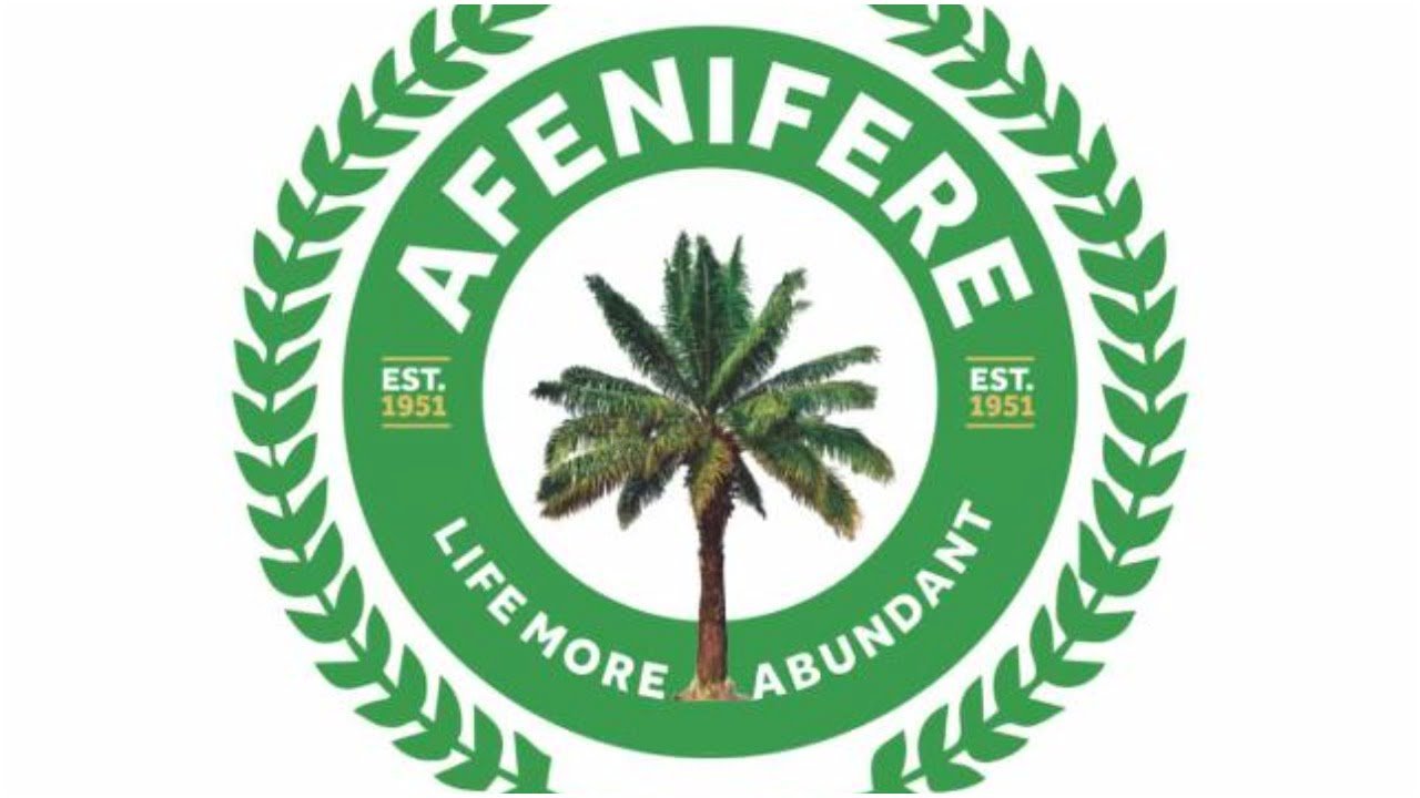 Afenifere Tax Reform Bills