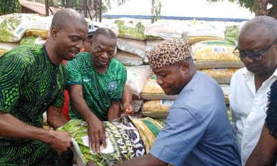 Senator Tony Nwoye bags of rice