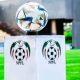 NPFL transfer window open