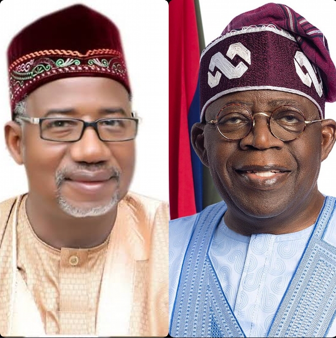 Bauchi governor Tinubu tax reforms