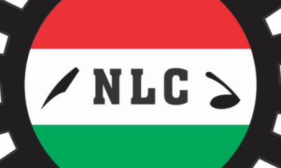 NLC Edo Police 14-day