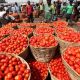 Kano Kwanar Gafan Tomato Market