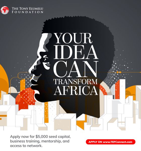 Tony Elumelu Foundation Application