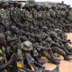 Global Firepower Nigerian Military Ranking