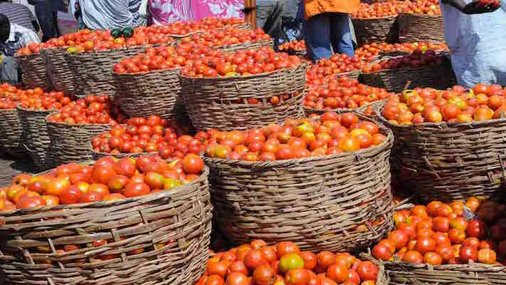 tomato prices in markets