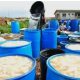 Detergent Use In Fufu