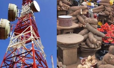 Nigeria food data telecoms