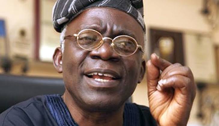 Falana Senate Natasha