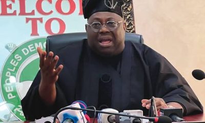 Dele Momodu Jonathan Tinubu 2027