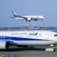 Flight Passenger Bites Crew Member
