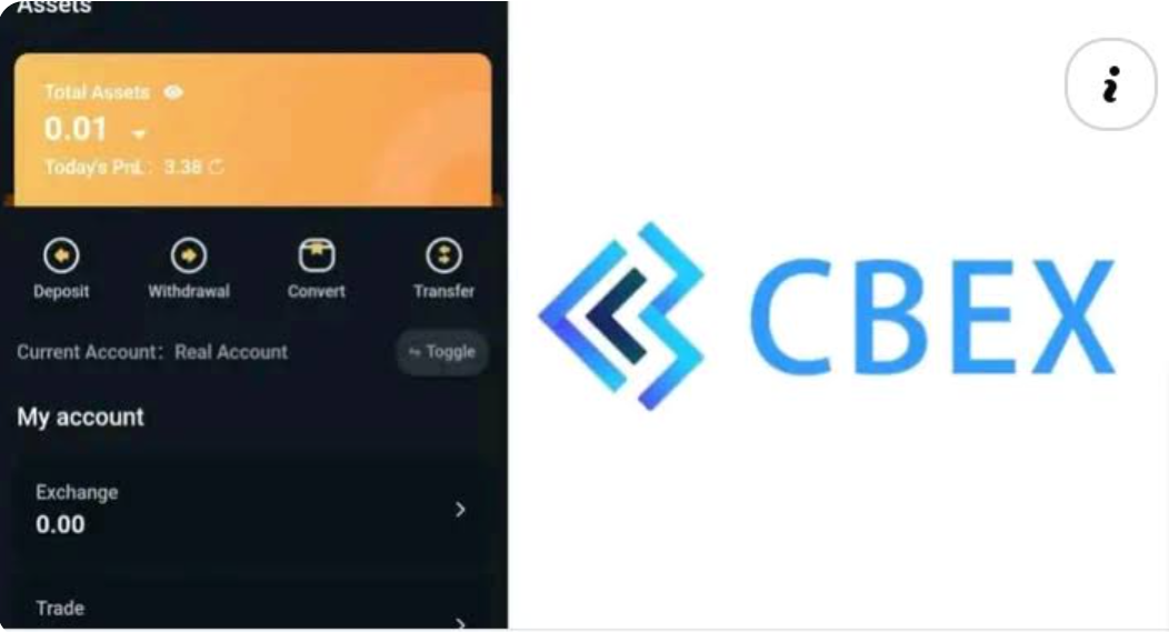 cbeX Ibadan