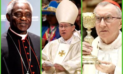 Next Pope After Francis