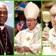 Next Pope After Francis