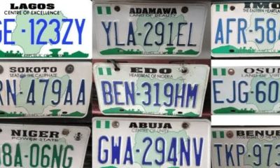 Driver’s licenses