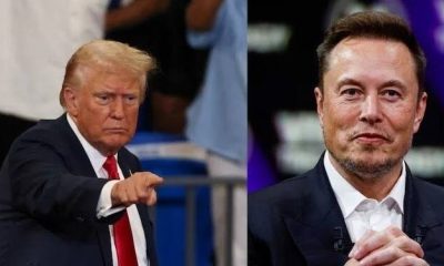 Trump Musk Bill Spending